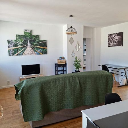 Le Belvedere Vue Pyrenees, Familiale, Centre Tarbes Apartment Luaran gambar
